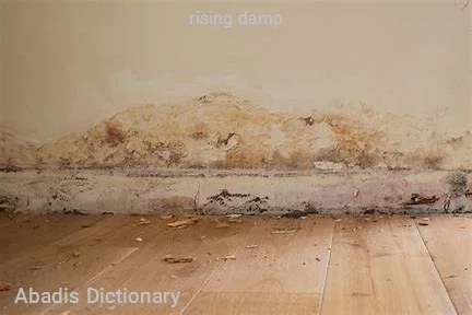 rising damp